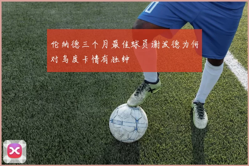 伦纳德三个月最佳球员谢泼德为何对乌度卡情有独钟